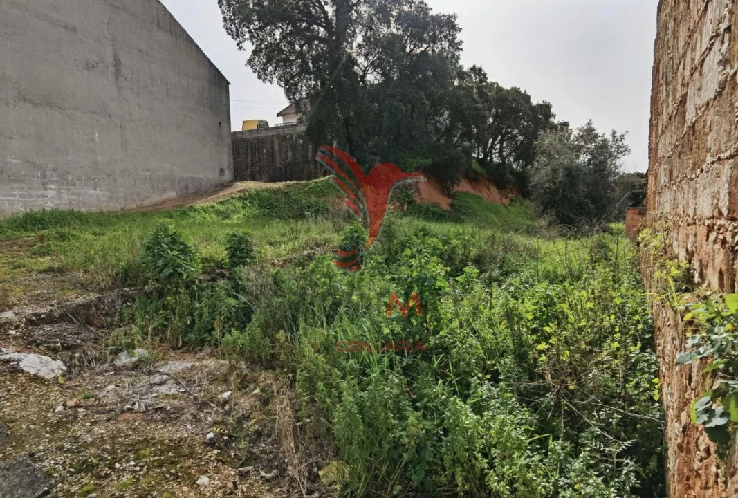 Terreno para Venda em Alcanena e Vila Moreira Foto 17