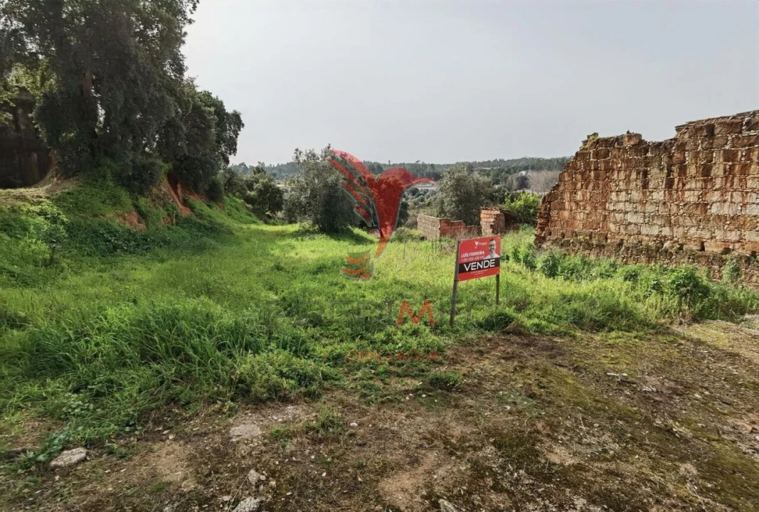 Terreno para Venda em Alcanena e Vila Moreira Foto 3