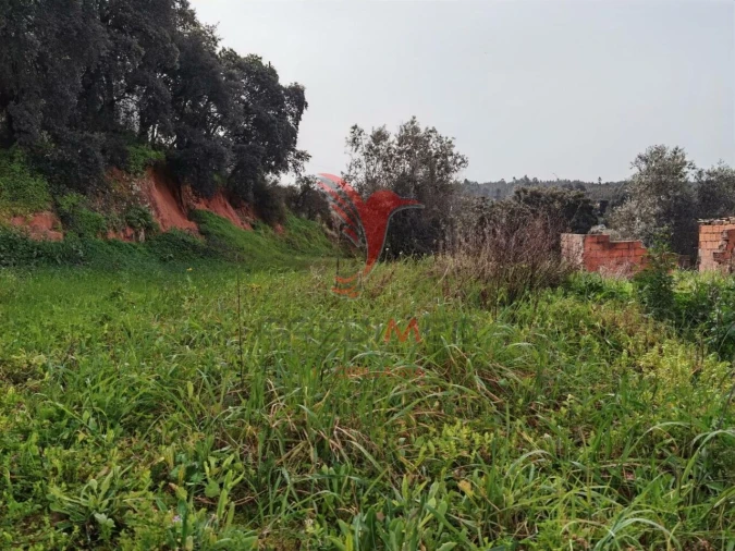 Terreno para Venda em Alcanena e Vila Moreira Foto 18