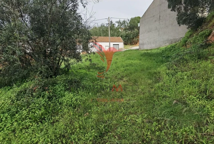 Terreno para Venda em Alcanena e Vila Moreira Foto 15