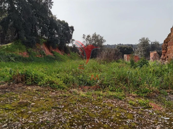 Terreno para Venda em Alcanena e Vila Moreira Foto 21