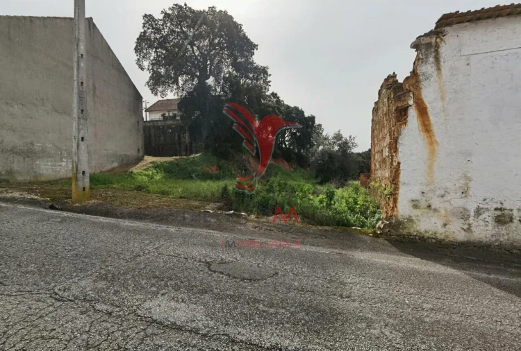 Terreno para Venda em Alcanena e Vila Moreira Foto 5