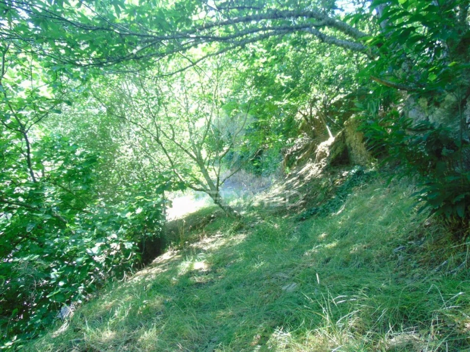 Terreno para Venda em Louredo e Fornelos Foto 14