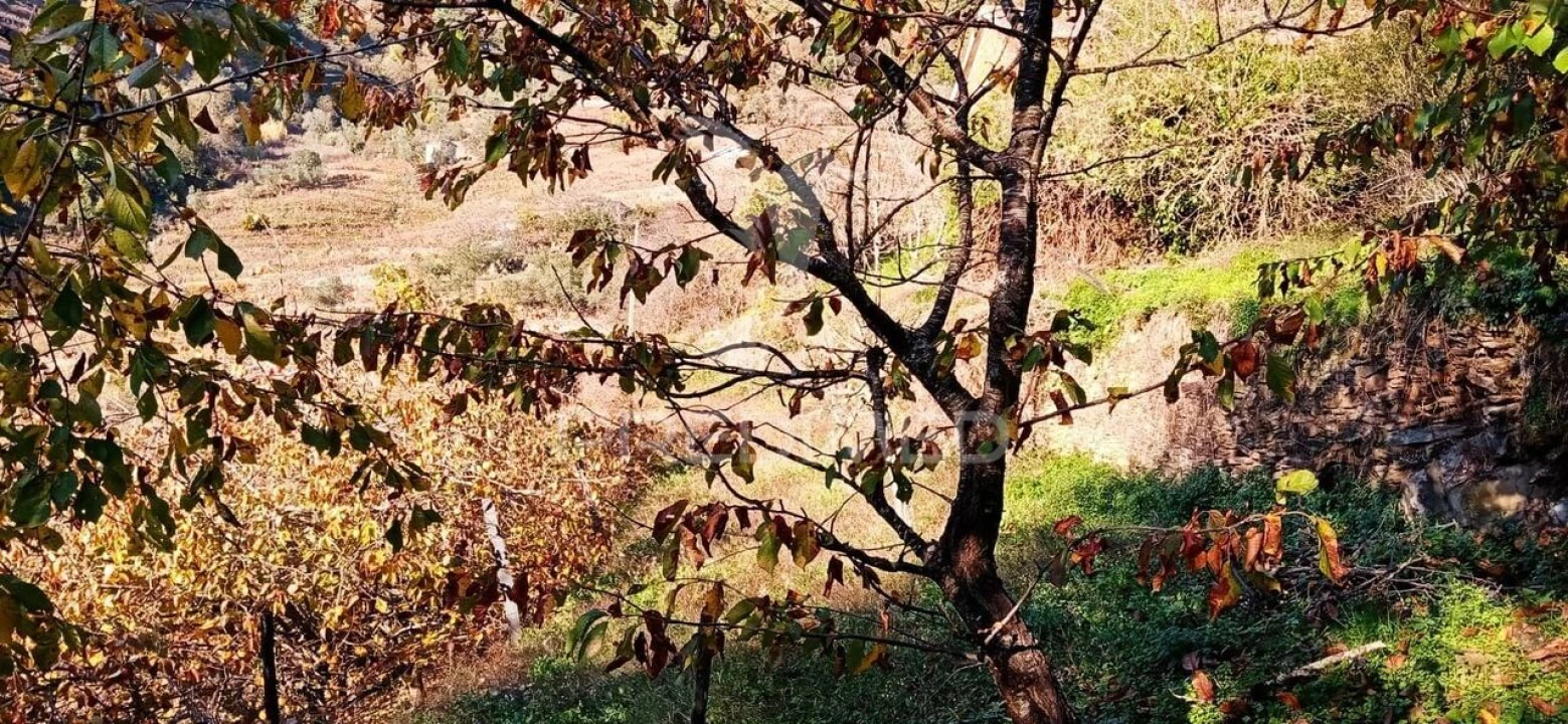 Terreno para Venda em Louredo e Fornelos Foto 6