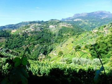 Terreno para Venda em Louredo e Fornelos