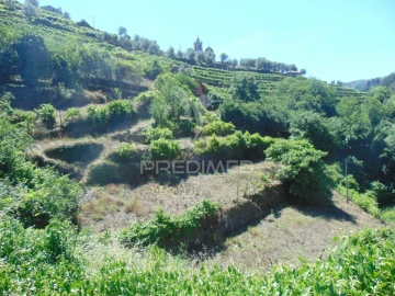 Terreno para Venda em Louredo e Fornelos