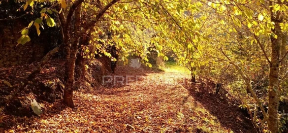 Terreno para Venda em Louredo e Fornelos