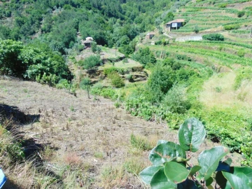 Terreno para Venda em Louredo e Fornelos