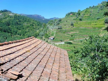 Terreno para Venda em Louredo e Fornelos