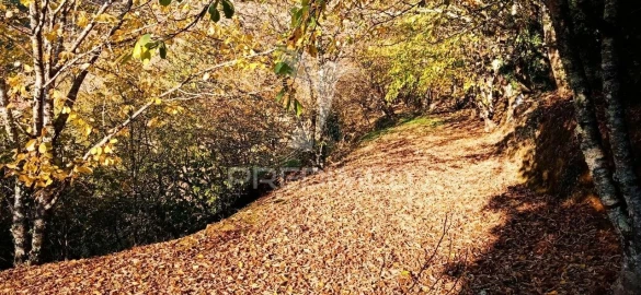 Terreno para Venda em Louredo e Fornelos