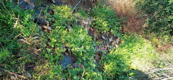 Terreno para Venda em Louredo e Fornelos