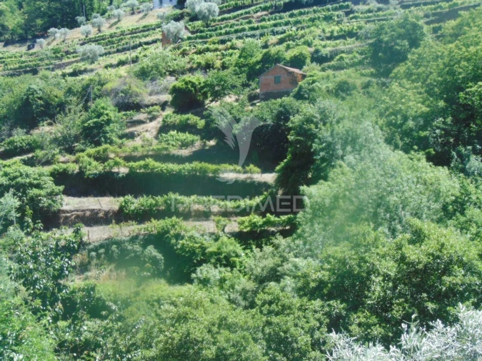 Terreno para Venda em Louredo e Fornelos Foto 3