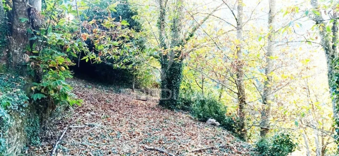 Terreno para Venda em Louredo e Fornelos Foto 2