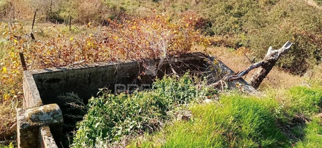 Terreno para Venda em Louredo e Fornelos Foto 19
