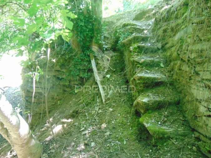 Terreno para Venda em Louredo e Fornelos Foto 12