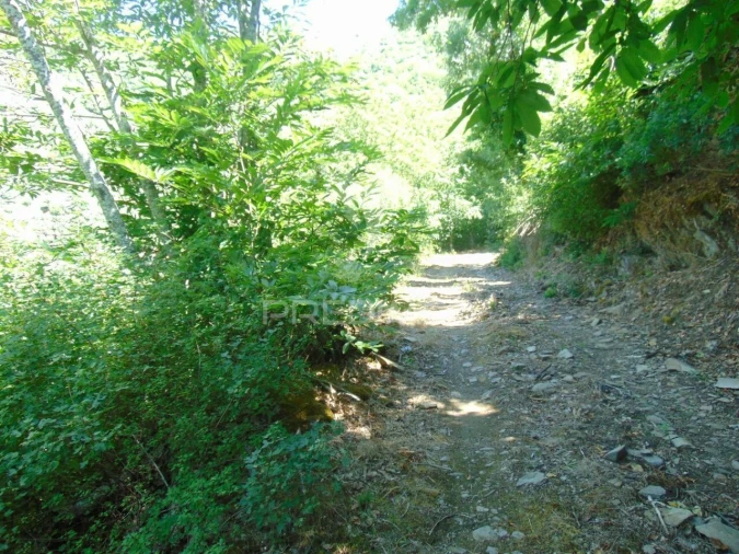 Terreno para Venda em Louredo e Fornelos Foto 16
