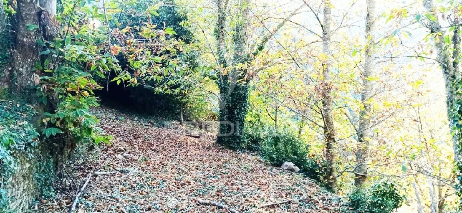 Terreno para Venda em Louredo e Fornelos Foto 2