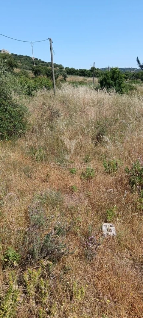 Terreno para Venda em Sé e São Lourenço
