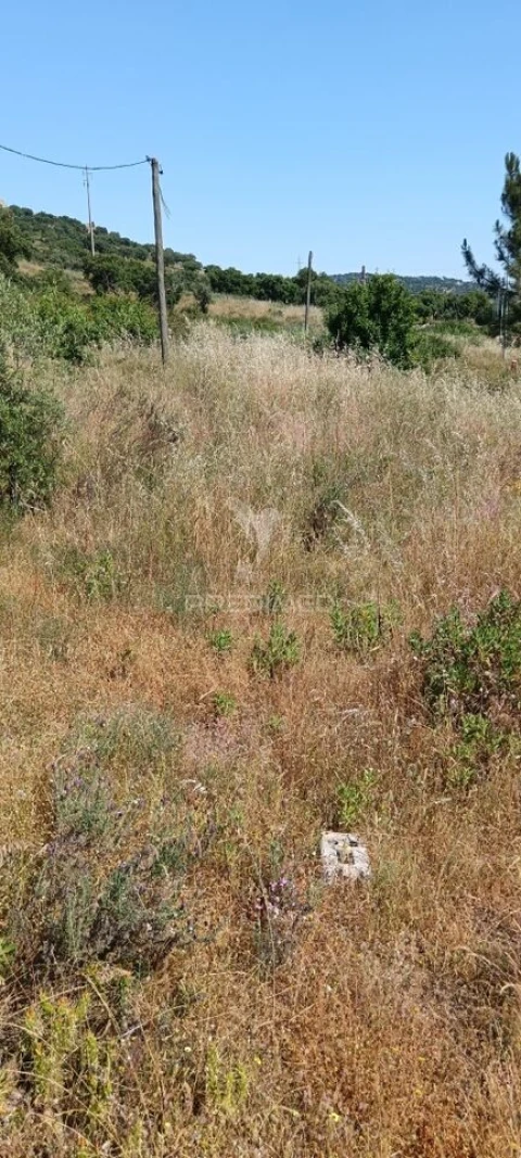 Terreno para Venda em Sé e São Lourenço