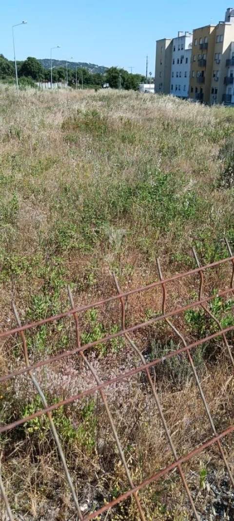 Terreno para Venda em Sé e São Lourenço