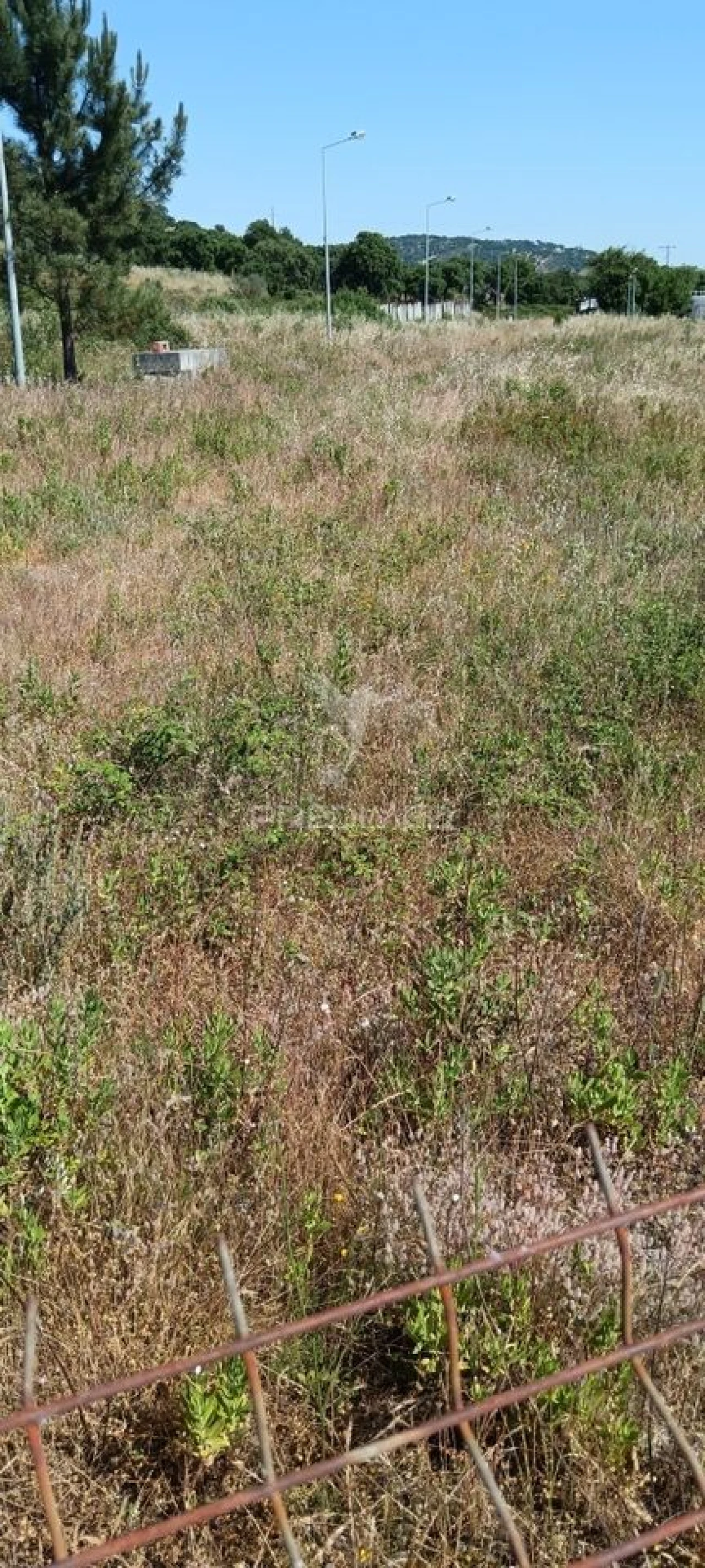 Terreno para Venda em Sé e São Lourenço Foto 1