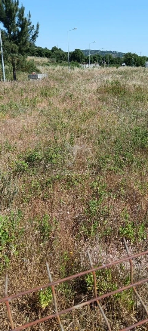 Terreno para Venda em Sé e São Lourenço