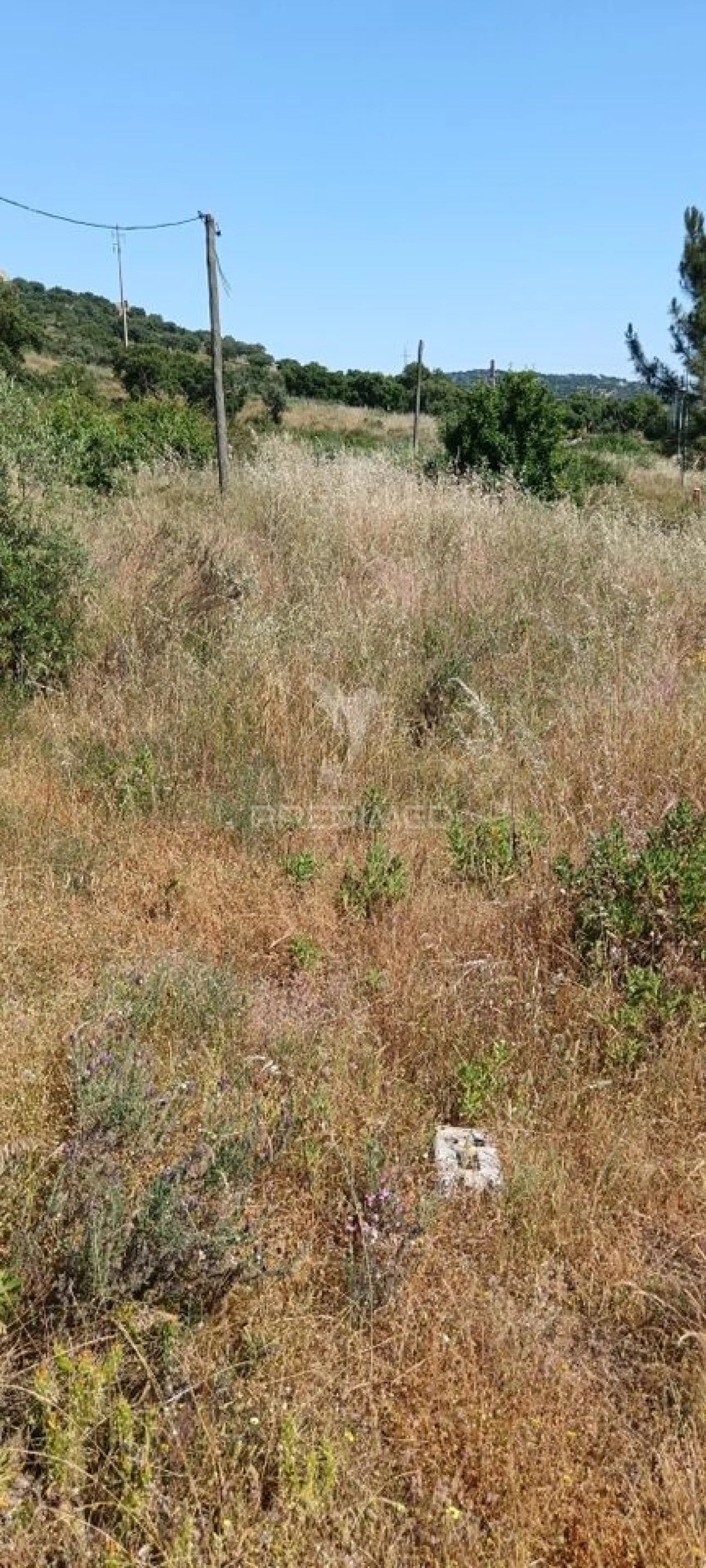 Terreno para Venda em Sé e São Lourenço Foto 4