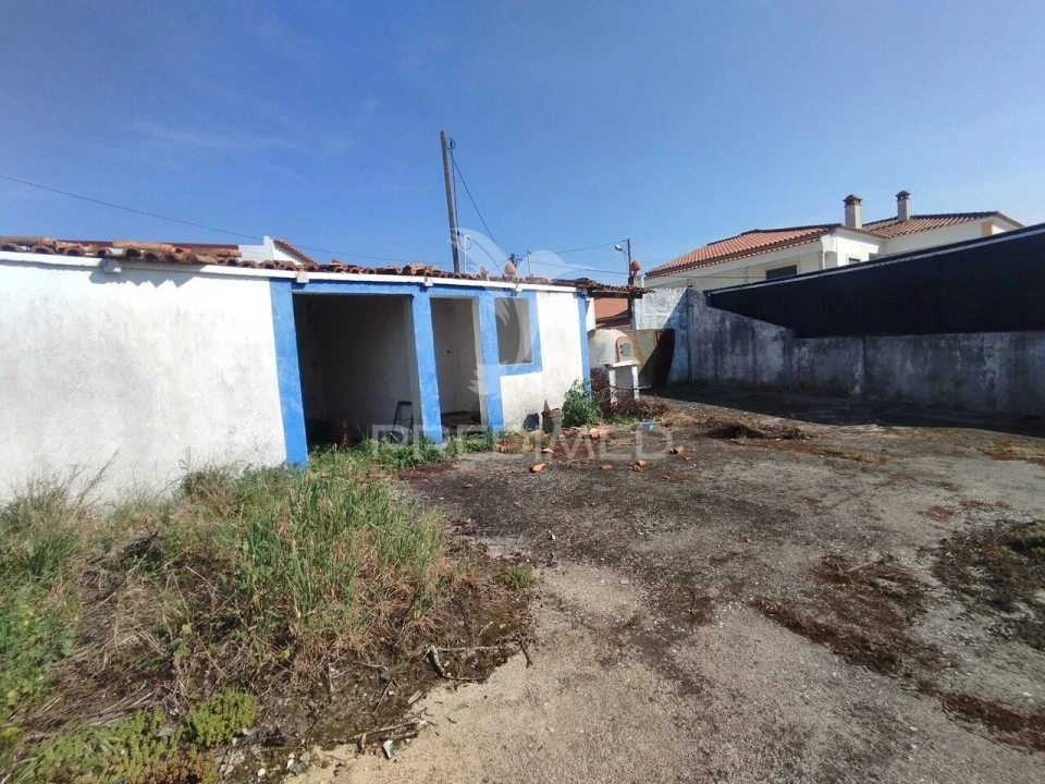 Terreno para Venda em Torres Novas (São Pedro), Lapas e Ribeira Branca Foto 5
