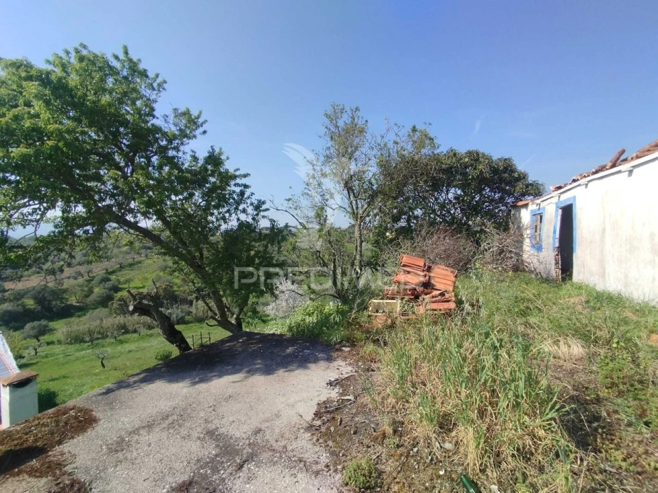 Terreno para Venda em Torres Novas (São Pedro), Lapas e Ribeira Branca Foto 2