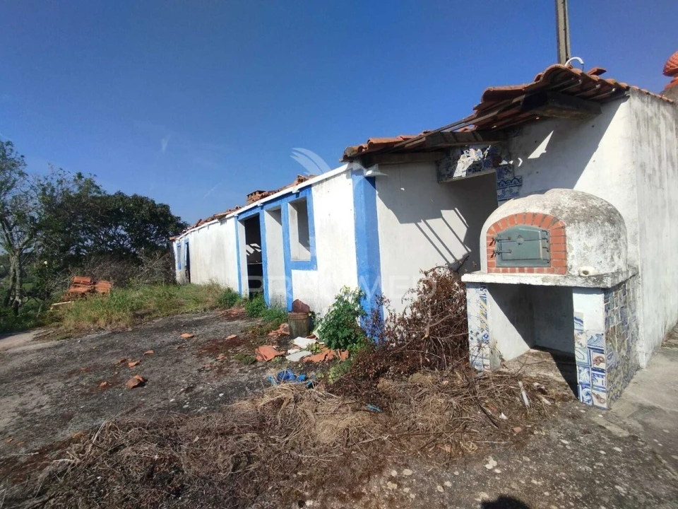 Terreno para Venda em Torres Novas (São Pedro), Lapas e Ribeira Branca Foto 4