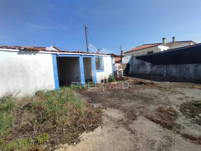 Terreno para Venda em Torres Novas (São Pedro), Lapas e Ribeira Branca Foto 5