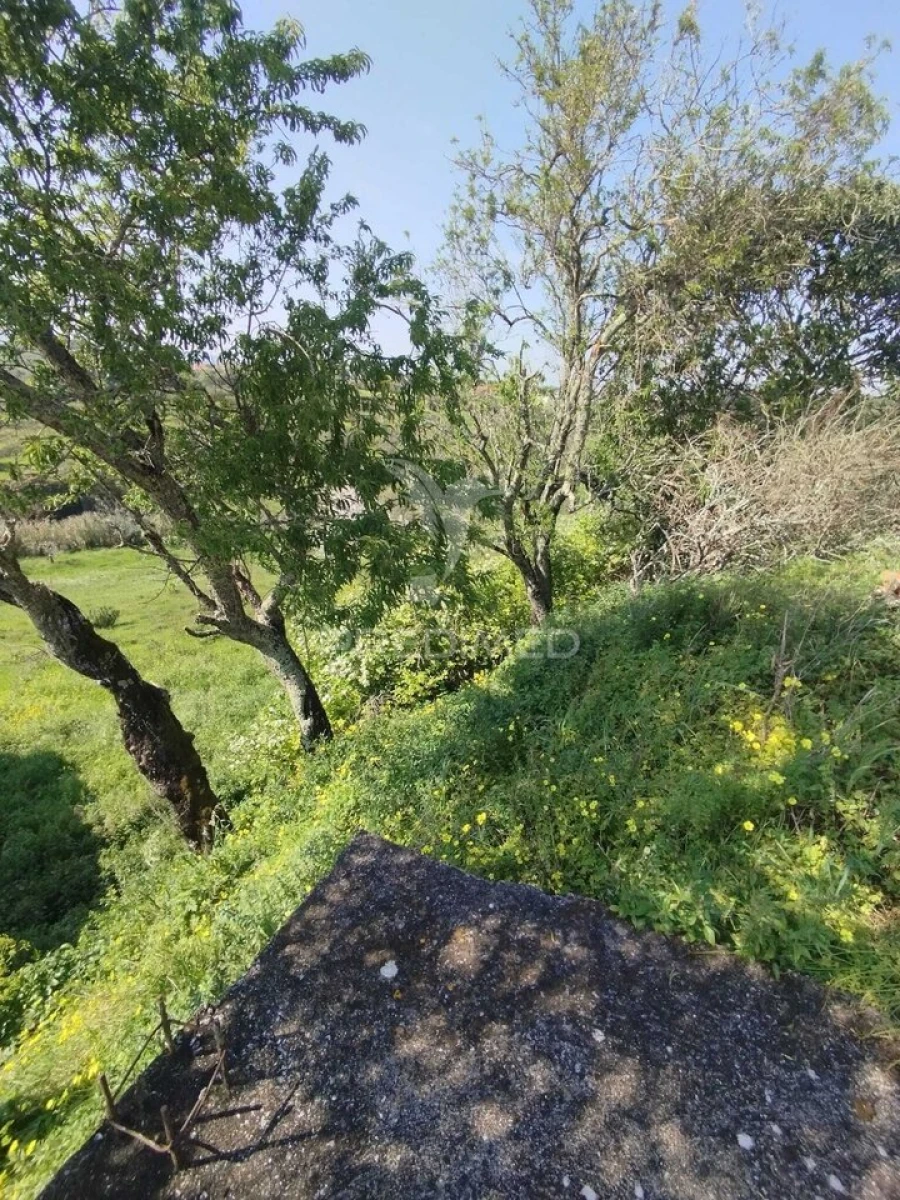 Terreno para Venda em Torres Novas (São Pedro), Lapas e Ribeira Branca Foto 11