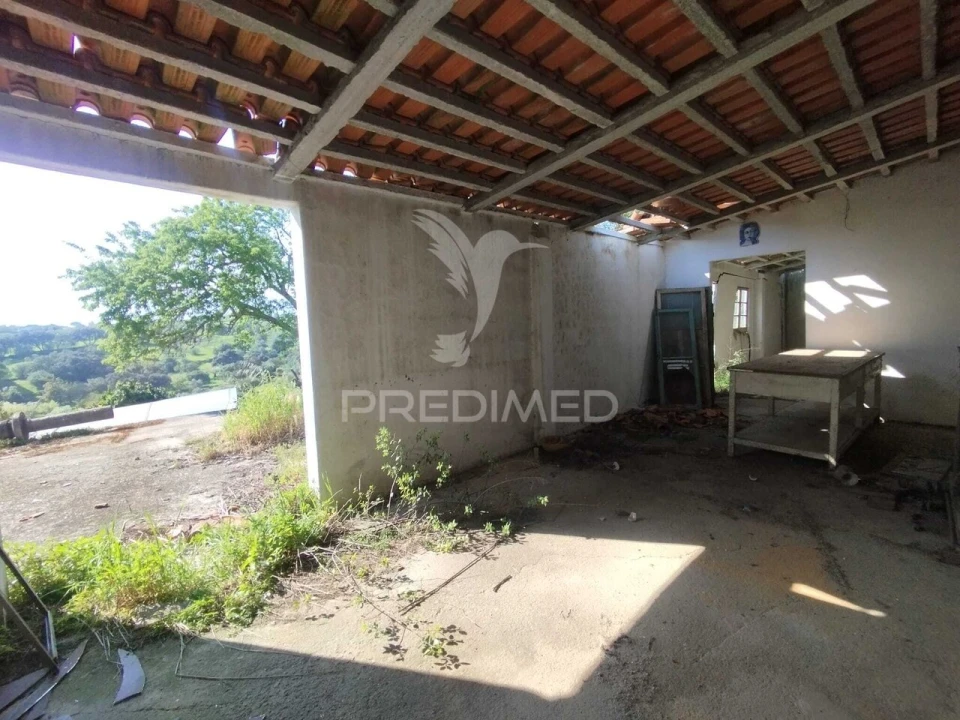 Terreno para Venda em Torres Novas (São Pedro), Lapas e Ribeira Branca Foto 8