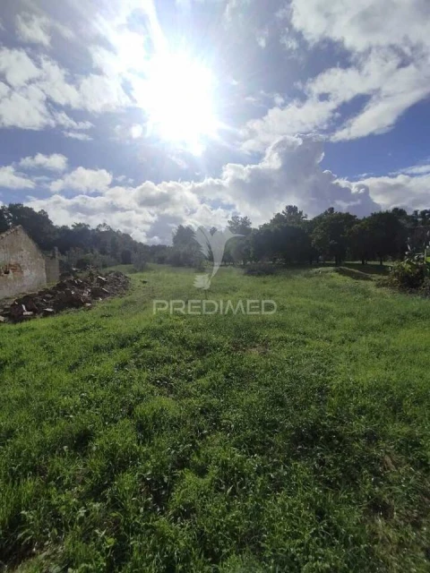 Terreno para Venda em Chamusca e Pinheiro Grande