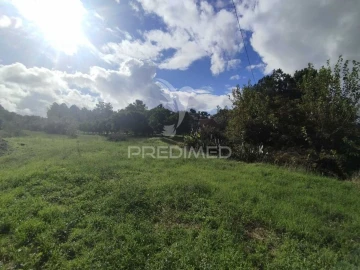 Terreno para Venda em Chamusca e Pinheiro Grande