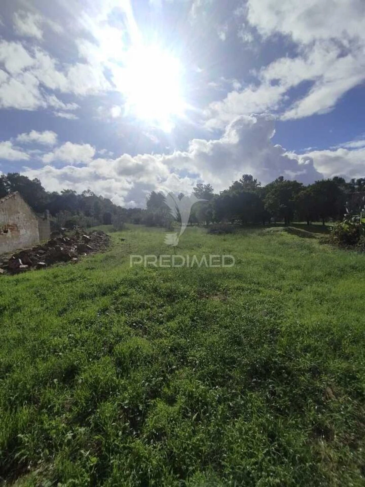 Terreno para Venda em Chamusca e Pinheiro Grande Foto 2