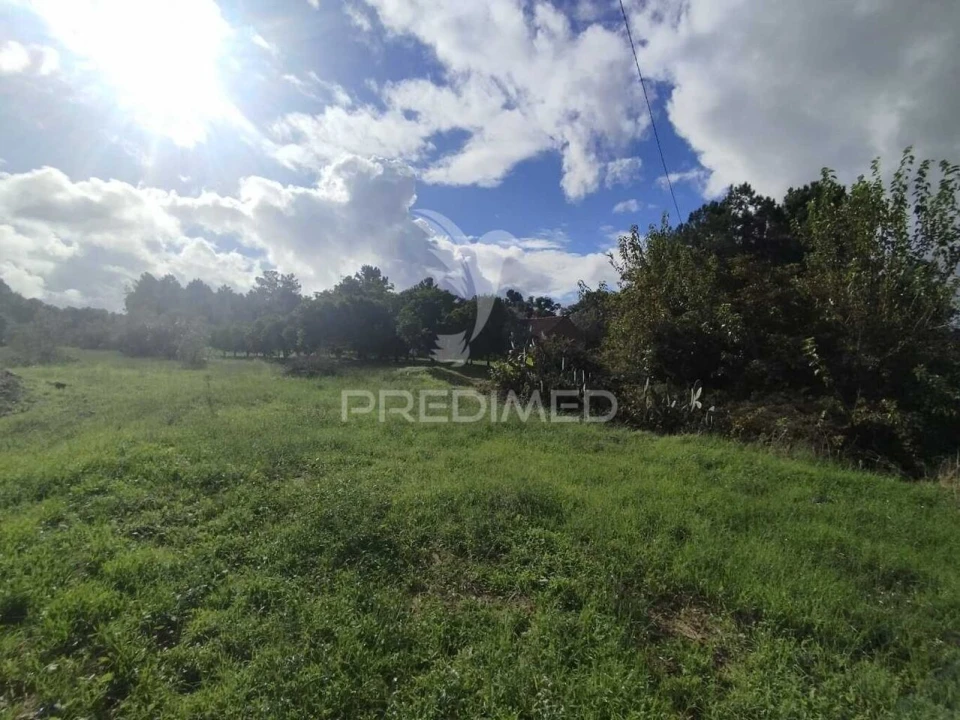 Terreno para Venda em Chamusca e Pinheiro Grande Foto 1