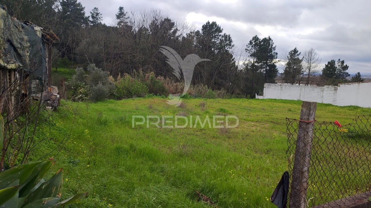 Terreno para Venda em Chamusca e Pinheiro Grande Foto 8