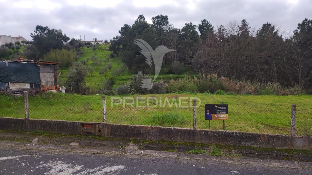 Terreno para Venda em Chamusca e Pinheiro Grande Foto 7
