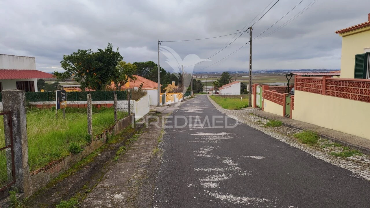 Terreno para Venda em Chamusca e Pinheiro Grande Foto 22