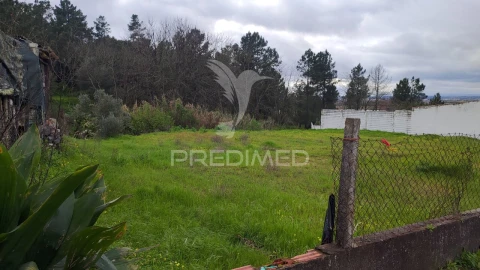 Terreno para Venda em Chamusca e Pinheiro Grande