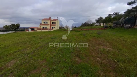 Terreno para Venda em Chamusca e Pinheiro Grande