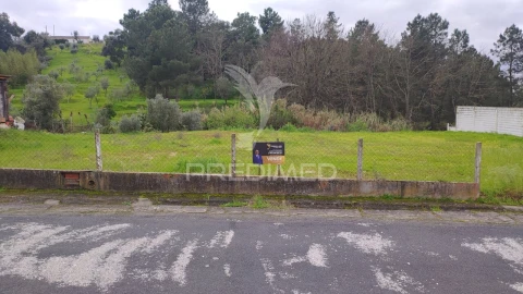 Terreno para Venda em Chamusca e Pinheiro Grande