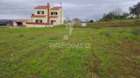 Terreno para Venda em Chamusca e Pinheiro Grande