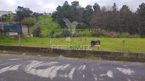 Terreno para Venda em Chamusca e Pinheiro Grande
