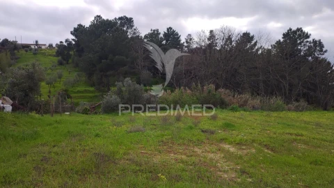 Terreno para Venda em Chamusca e Pinheiro Grande