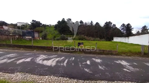 Terreno para Venda em Chamusca e Pinheiro Grande