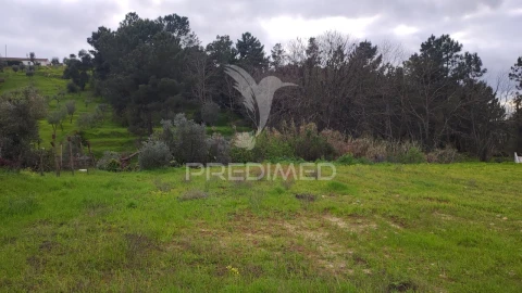 Terreno para Venda em Chamusca e Pinheiro Grande
