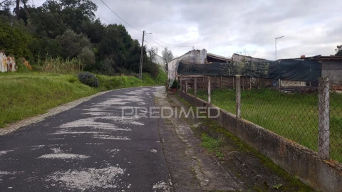 Terreno para Venda em Chamusca e Pinheiro Grande
