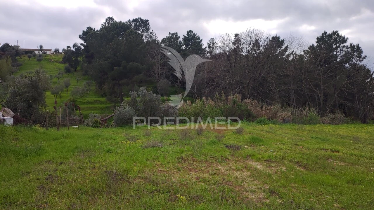 Terreno para Venda em Chamusca e Pinheiro Grande Foto 16